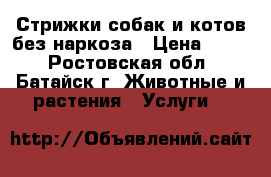Стрижки собак и котов без наркоза › Цена ­ 500 - Ростовская обл., Батайск г. Животные и растения » Услуги   